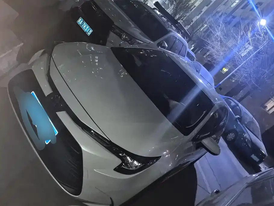 TOYOTA RALINK 2024