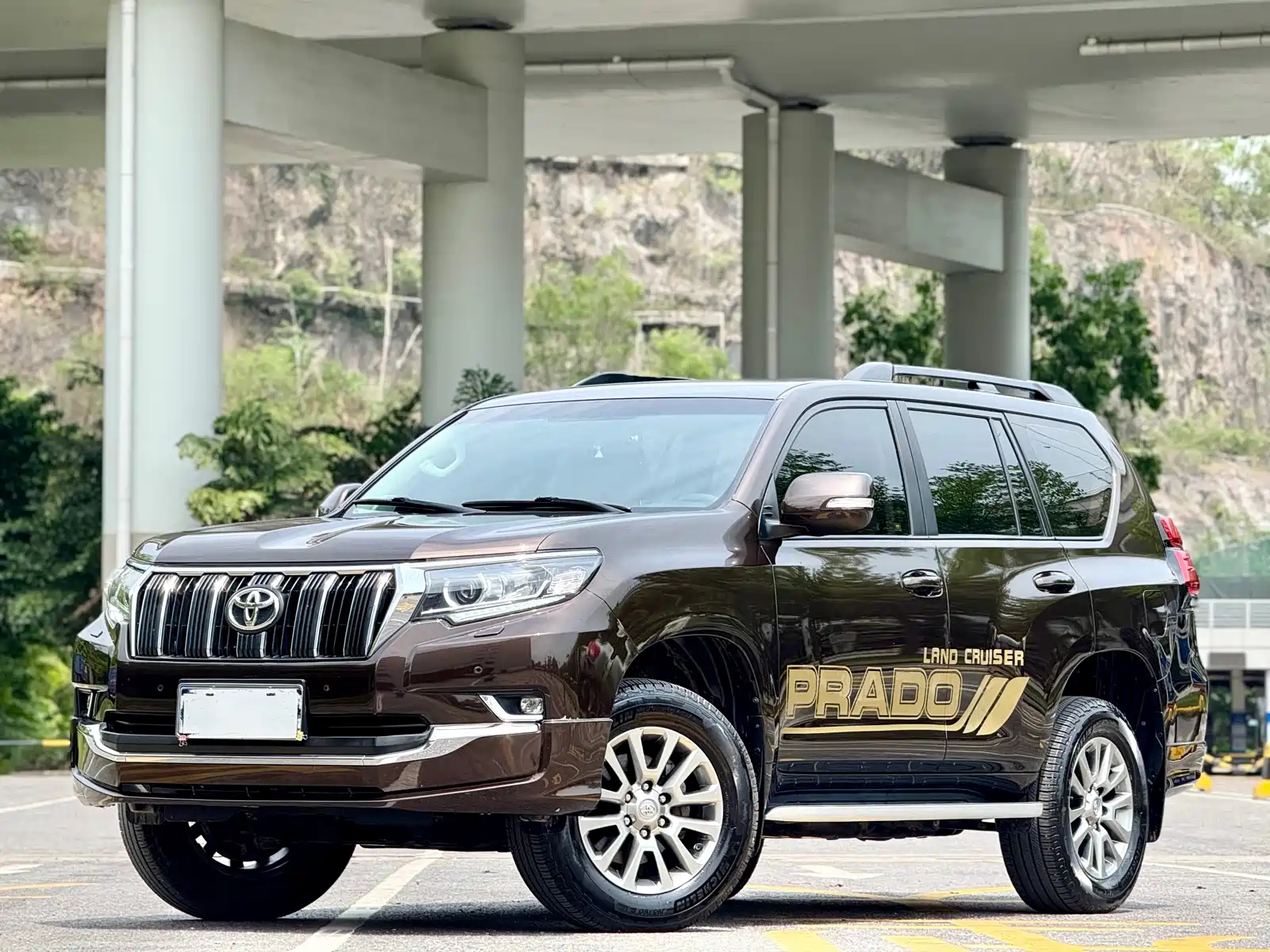 TOYOTA PRADO 2019