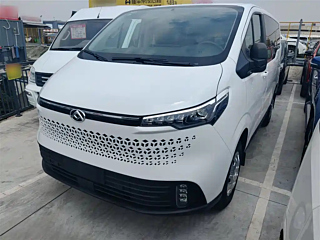 MAXUS OTHER 2023