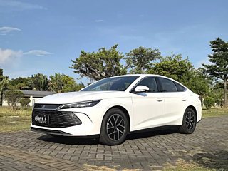 BYD QIN L 2024