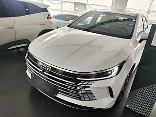 BYD DESTROYER 05 2024