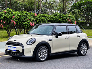 MINI OTHER 2022