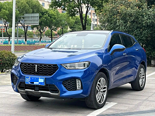 WEY VV5  2017