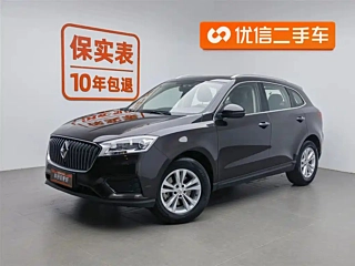 Заказать BORGWARD BX7