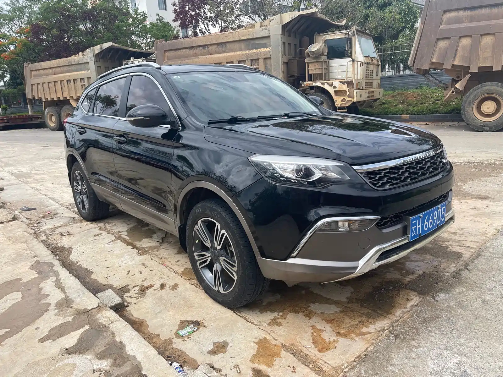 Аукционный лист LEOPAARD CS10 2017