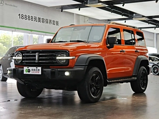 TANK 300  2021