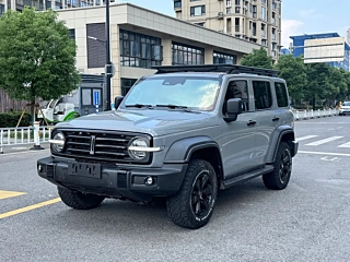 TANK 300  2021