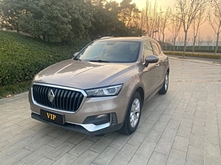 Заказать BORGWARD BX5