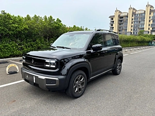 Заказать BAO JUN YUEYE PLUS