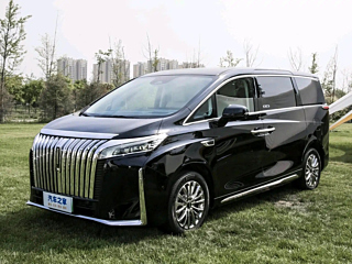 Заказать WEY GAOSHAN