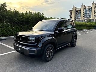 Заказать BAO JUN YUEYE PLUS