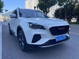 Заказать SOUEAST DX8S