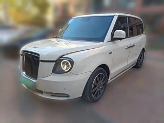 Заказать LEVC TX