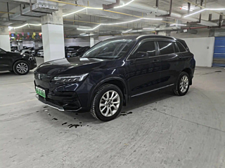 Заказать SKYWORTH EV6