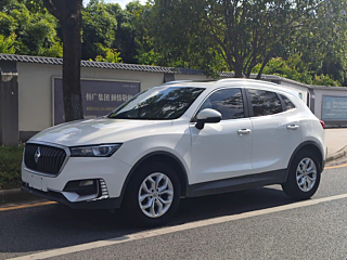 Заказать BORGWARD BX5