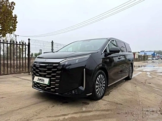 Заказать BYD XIA