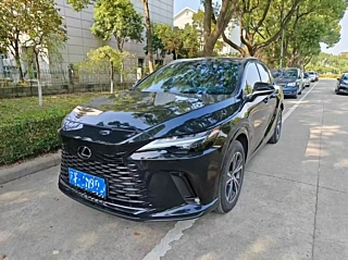 Заказать LEXUS RX