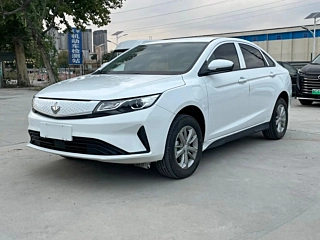 Заказать LIVAN 枫叶60S