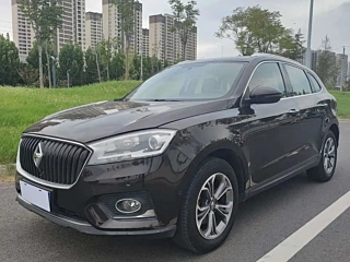 Заказать BORGWARD BX7