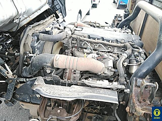 ISUZU ELF 2020