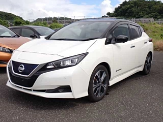 NISSAN LEAF 2020