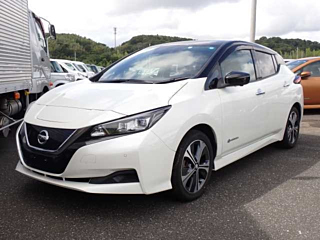 NISSAN LEAF 2019