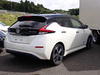 NISSAN LEAF 2019