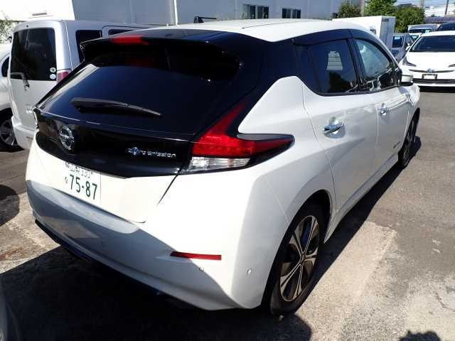 NISSAN LEAF 2020