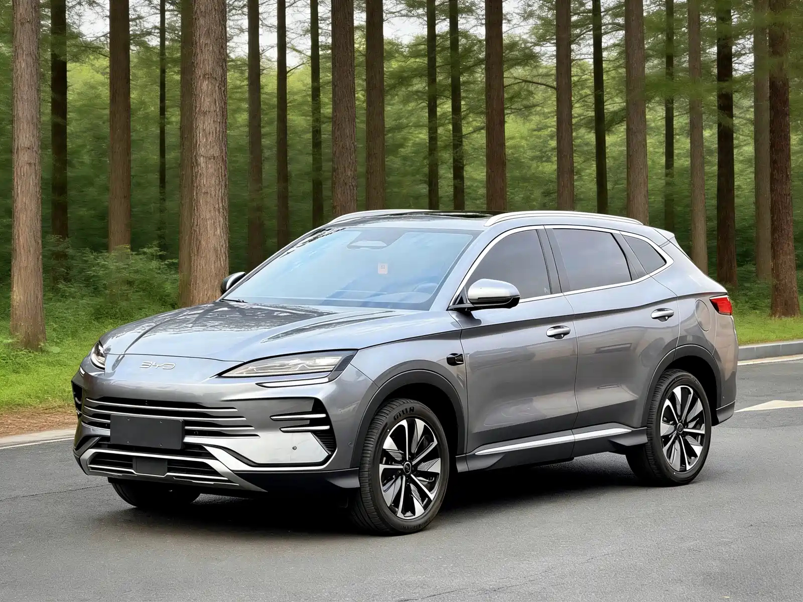 BYD SONG PLUS NEW ENERGY 2025