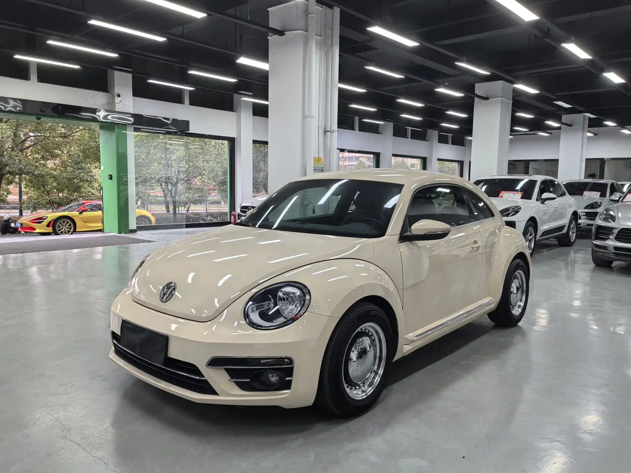 VOLKSWAGEN BEETLE 2019