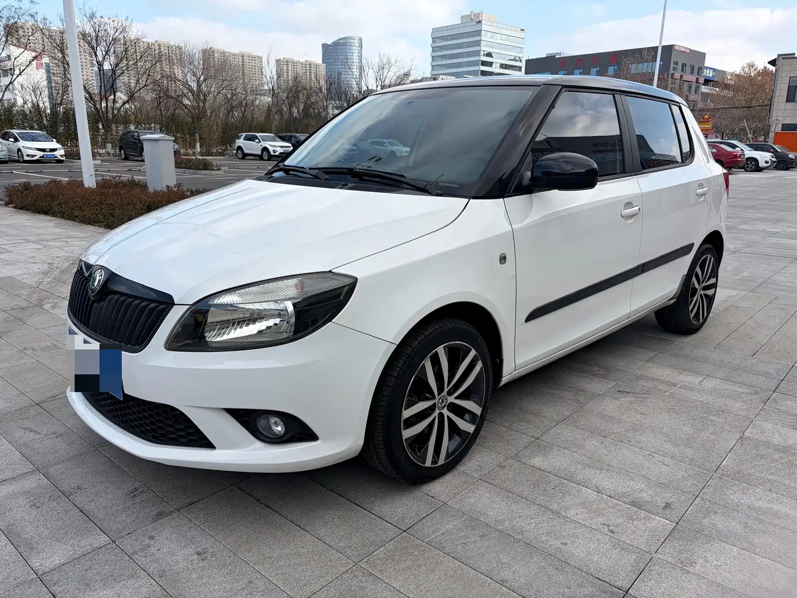 SKODA FABIA 2013