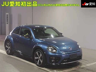 Заказать VOLKSWAGEN THE BEETLE