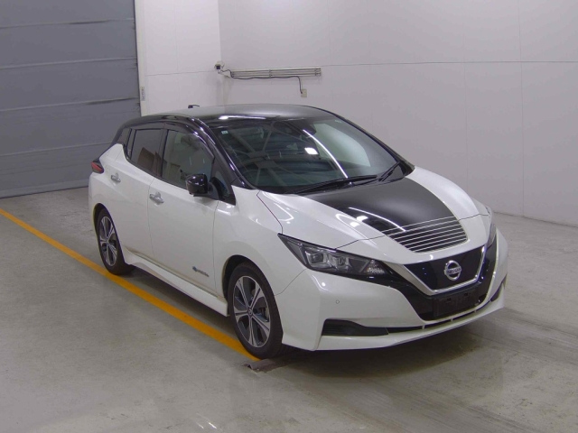 NISSAN LEAF 2019