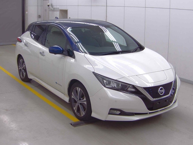 NISSAN LEAF 2020