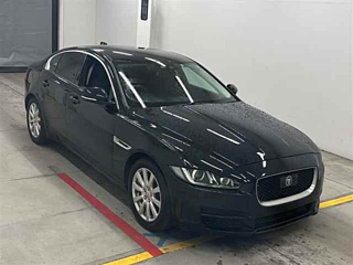 Заказать JAGUAR XE
