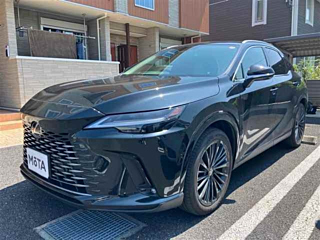Заказать LEXUS RX