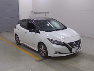 NISSAN LEAF 2019