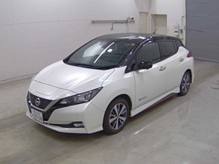 NISSAN LEAF 2019