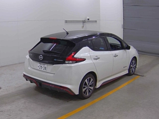NISSAN LEAF 2019