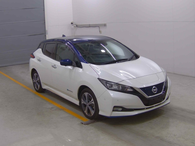 NISSAN LEAF 2020