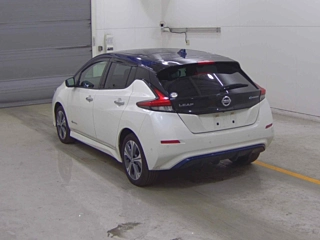 NISSAN LEAF 2020