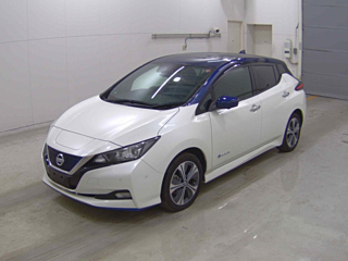 NISSAN LEAF 2020
