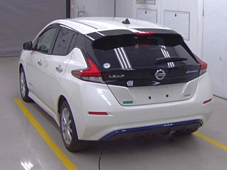 NISSAN LEAF 2019