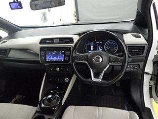 NISSAN LEAF 2019
