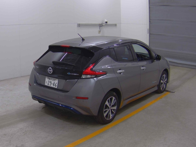NISSAN LEAF 2019