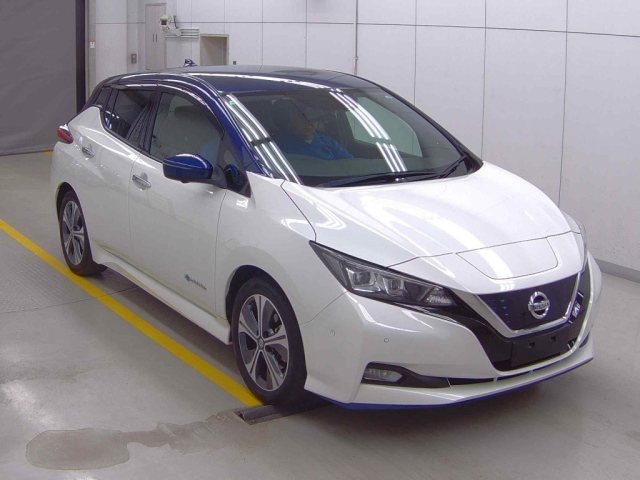 NISSAN LEAF 2020