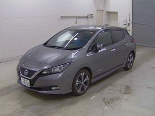 NISSAN LEAF 2019