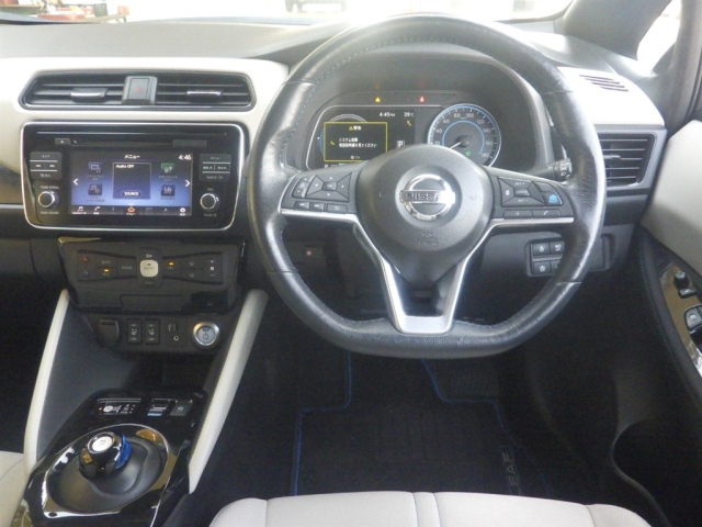 NISSAN LEAF 2018