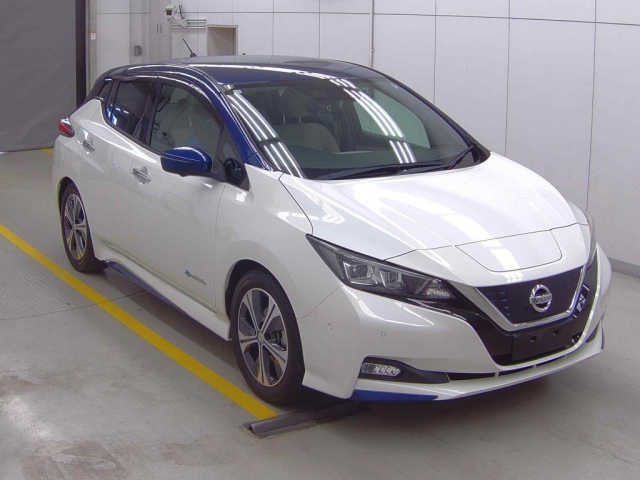 NISSAN LEAF 2018