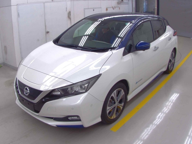 NISSAN LEAF 2018